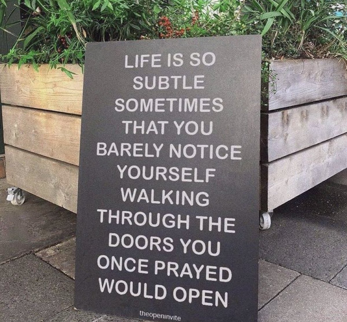 Artbaesel's tweet photo. Food for thought. https://t.co/cqko9utqru