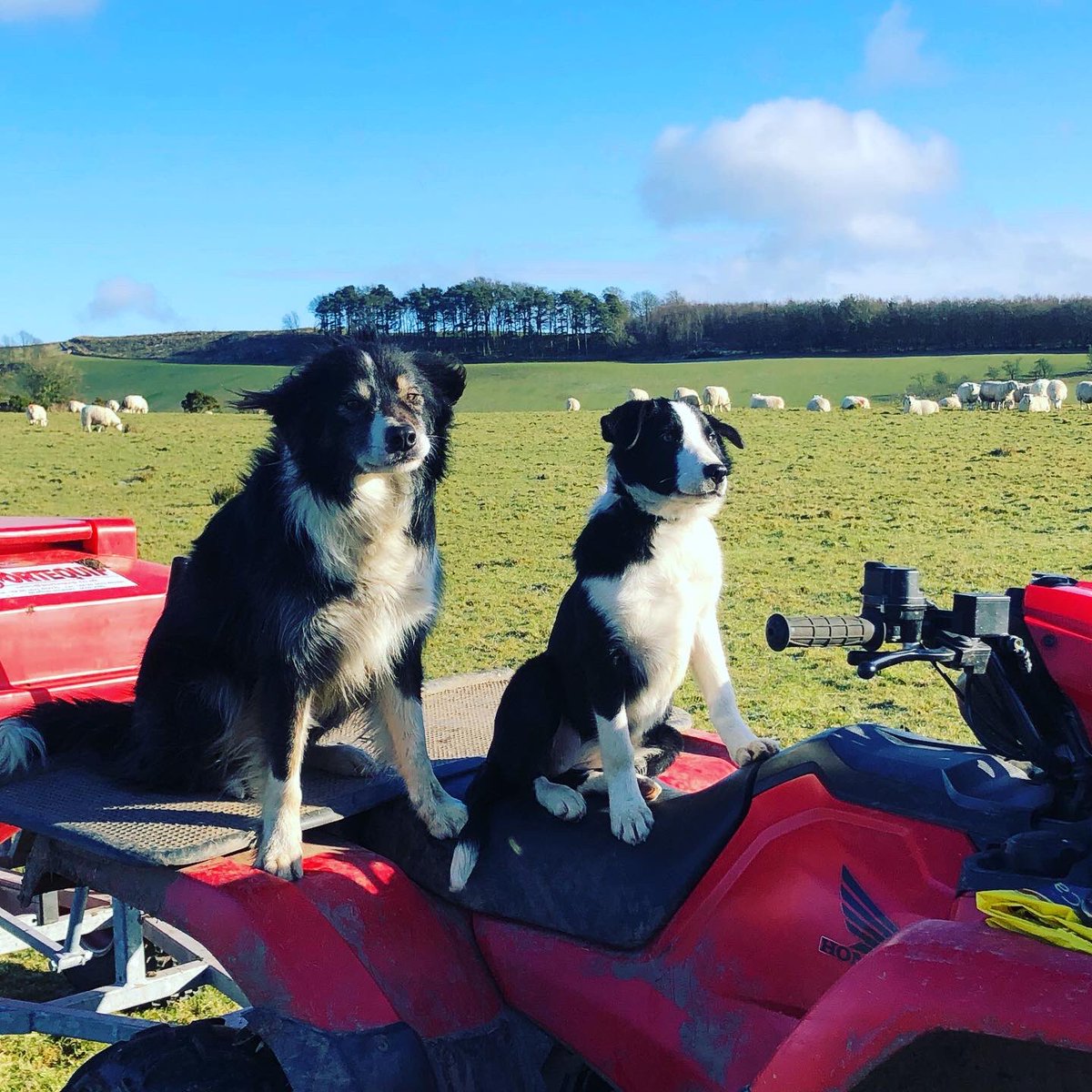 annemcalp's tweet image. Jake &amp;amp; Skye ready for their close up 🎥 New #BBCLandward coming soon.