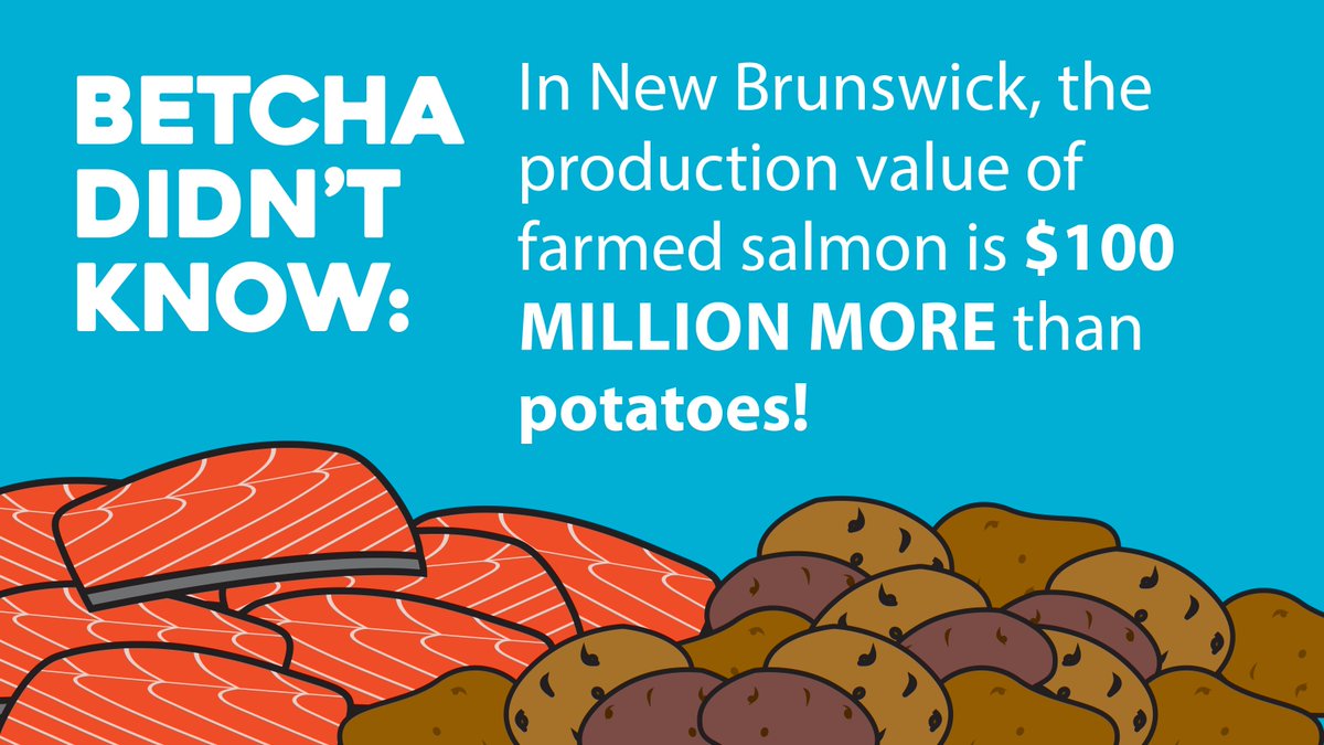 AtlFishFarmers's tweet photo. Get to know Atlantic Canada's salmon farming sector! Check out our interactive map at: https://t.co/OBNTKUDnVE
#BetchaDidntKnow #ProudToFarmHere #GetToKnowUs
@CDNaquaculture @NAIA_NL @SeaFarmers @BernJordanMP @Gov_NB @DuesouthSue https://t.co/lNsFw6BkTO