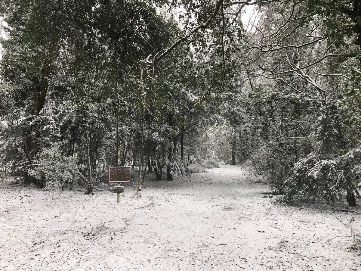 A fabulous day in the snow for boarders and the school looks magical. #boarding #IamNorthbournePark