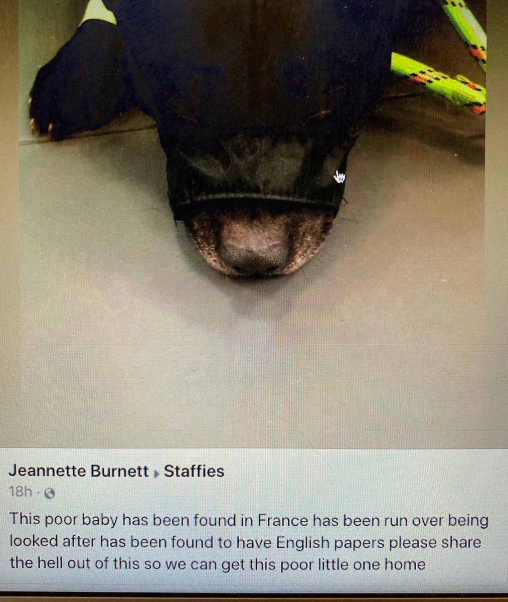 rodeokaz's tweet photo. Please share and help find owners 🙏 https://t.co/6pKgtgqSd0