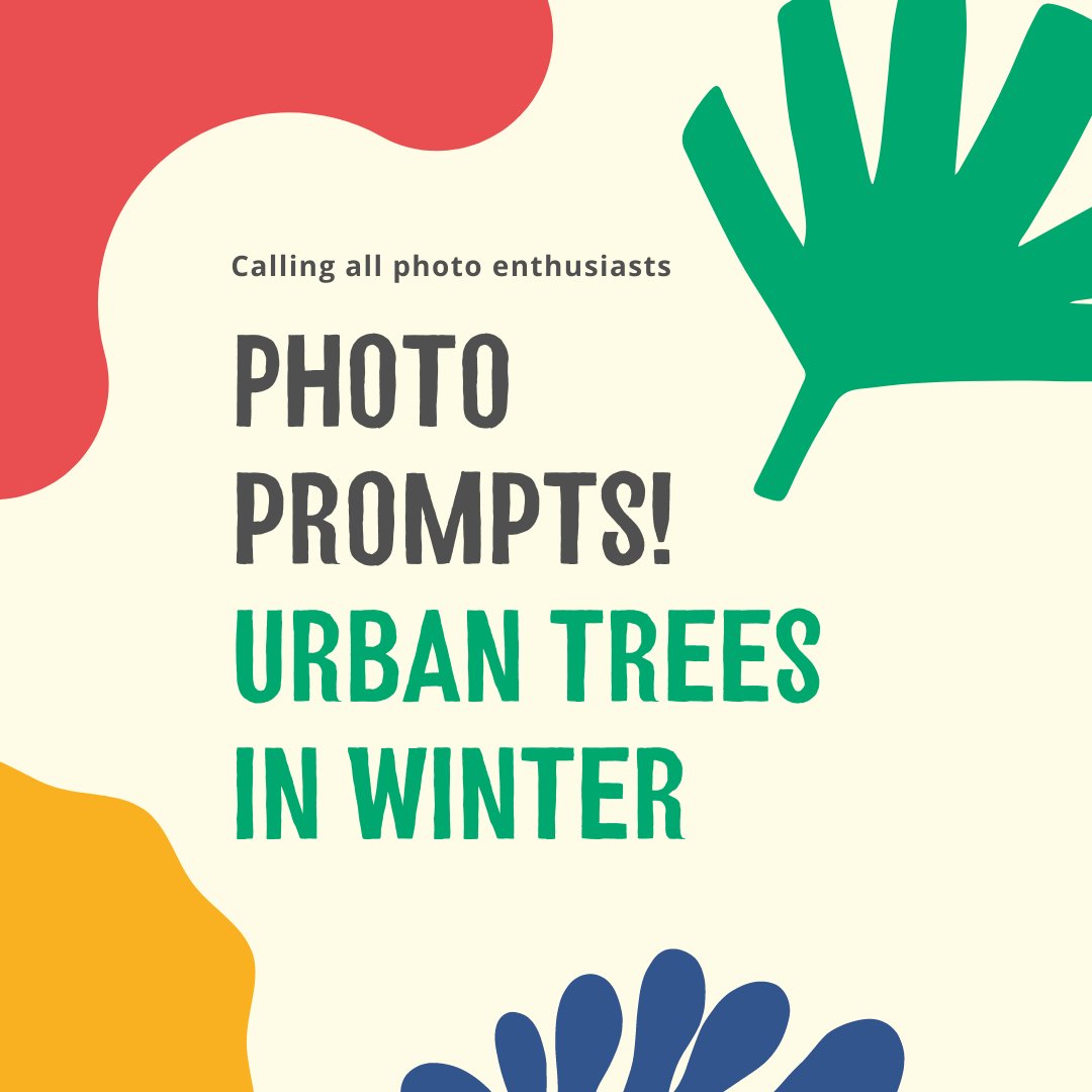 TreesforCities's tweet photo. Join our photo challenge: winter edition! βοΈπΈ
It might be cold (and snowing!), but spending time outdoors among the trees is known to boost our mood and mental health.
Everyone's welcome to take part - weβd love to see your snaps! Tag your photos #TFCsnaps β¨ https://t.co/SneksRy9FF