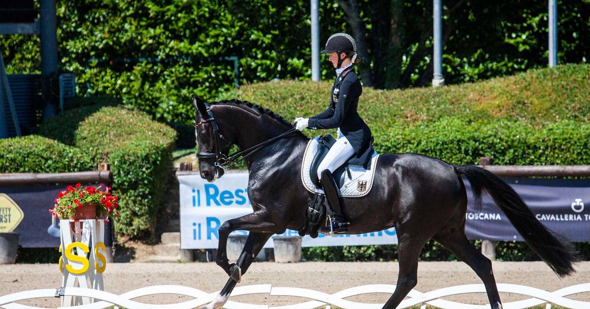 Clued up on conformation! 🦄

Unicorns are easier to find than the perfect pony. To succeed in sport, horses need fabulous foundations and top-notch management. Veterinary experts and <a href="/Cavalor/">Cavalor</a> tell you why! 🐴📚

Take a look. 👉fei.org/stories/lifest…