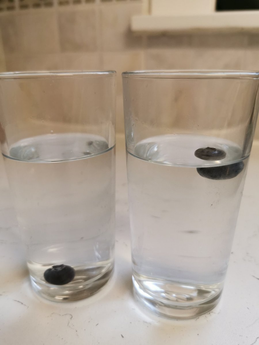 cleanseasplease's tweet image. Having some watery fun at home today. Can you guess why? #STEMeducation #Water #CleanSeasPlease