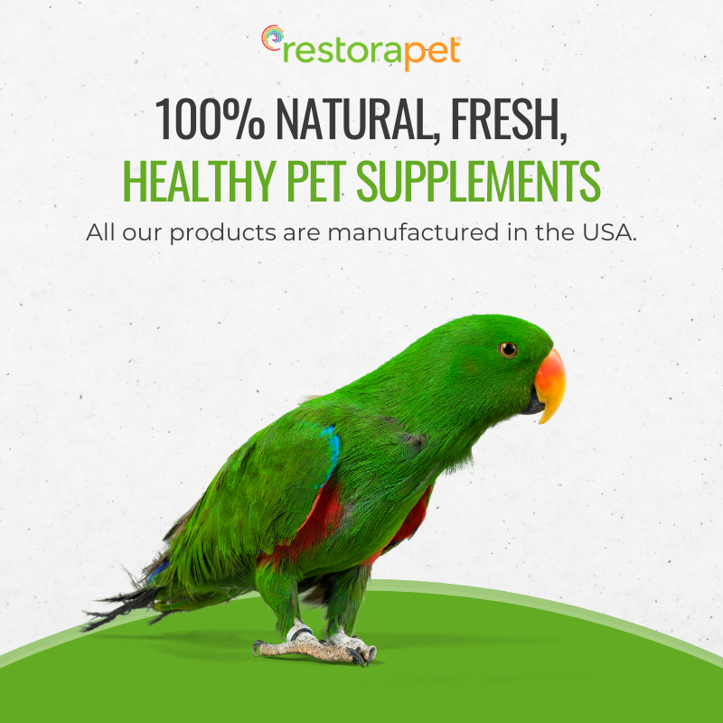 RestoraPet tweet media