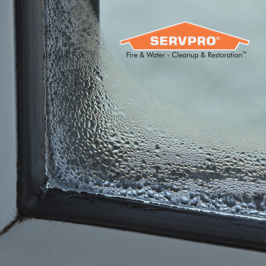 Condensation around windows is common during the colder months. Regularly wipe away moisture to keep mold from growing around the window sill.
 1l.ink/SX464XQ