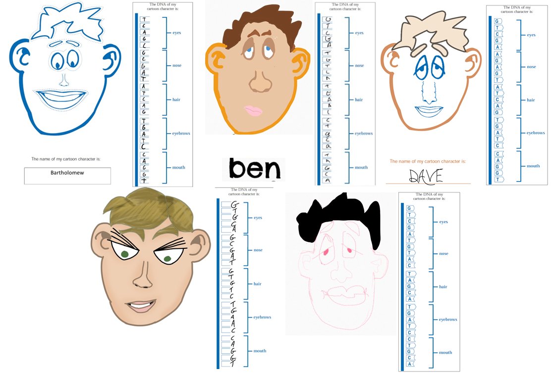Sci_BHS's tweet image. Thanks to @BBSRC for this! The S1s had fun being creative, as well as learning about how different base sequences can result in different physical characteristics and ensuring variation! 

Below is a sample of some of the work produced by our junior geneticists: 

Superb!🧬👍