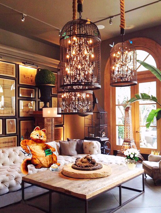 Блог Кота Моти.: Сегодня сегодня . catmotya.blogspot.com/2021/02/blog-p…