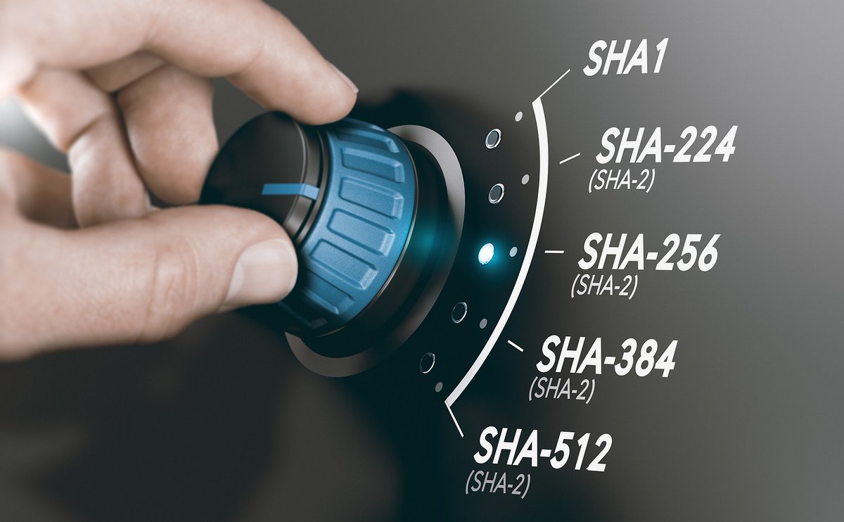ondrejkrehel's tweet image. What Is Hash Function? What Is It Used For and Why Is It Important? #hashfunction #PasswordProtection #Authentication #cybersecurity #hacking #security
lnkd.in/gwVYaPz
