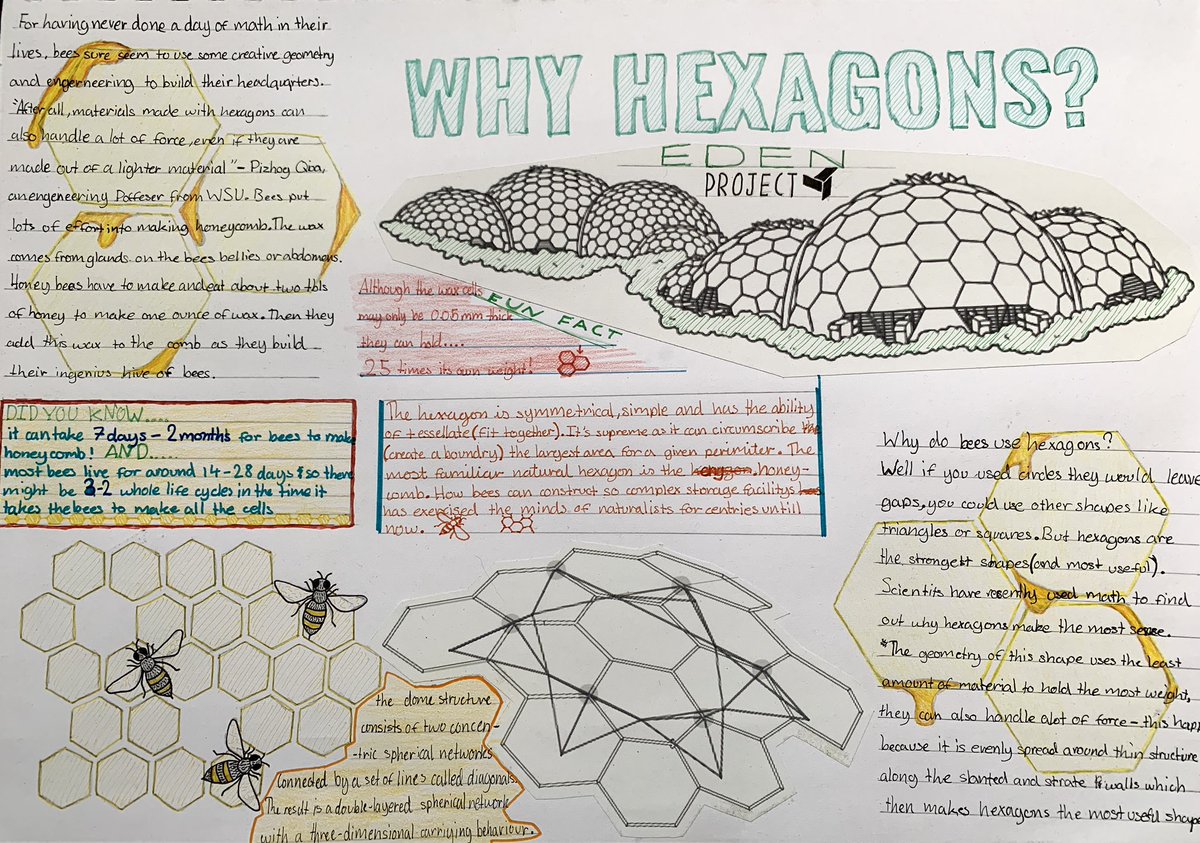 mildlyartistic's tweet photo. @edenschoolsteam Maes school project on hexagons https://t.co/VcjiE2lt91
