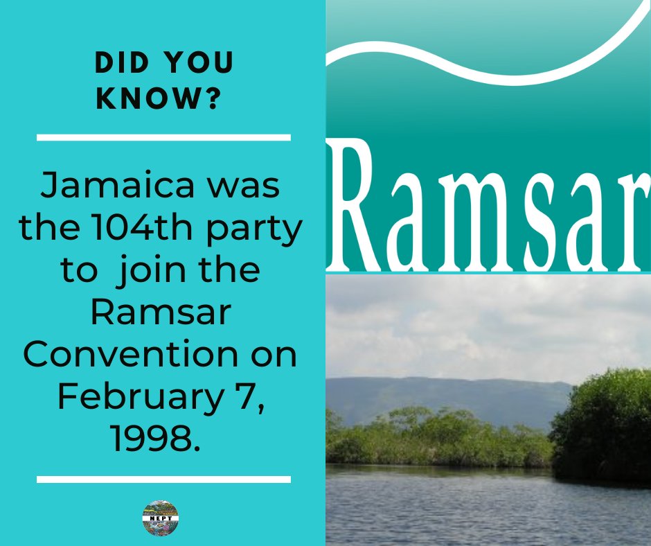 Yesterday February 7, 2021 marked 23 years since Jamaica signed and ratified the Ramsar Convention. Let's continue to advocate for wetlands protection.  #wetlands #wetlandsmatter #wetlandsconservation #wetlandsandwater #WorldWetlandsDay #nept