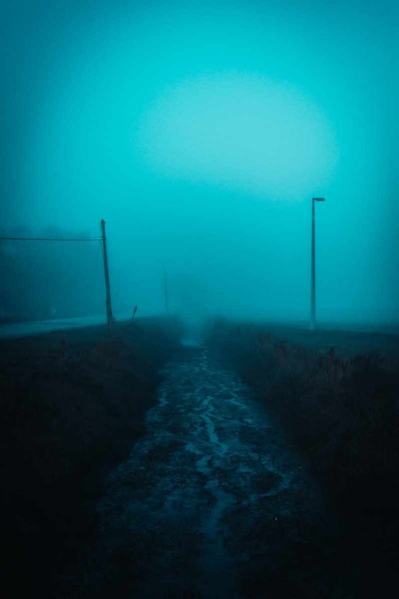 MalansPhoto's tweet image. Feeling the vibe