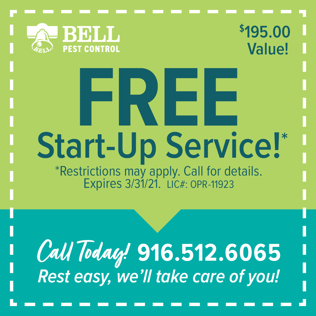 BellPestControl's tweet image. If you have a problem with #pests or #insects in #Sacramento we can help you out. You can get a Free start up special for your pest control needs we can help you out. #pestcontrolnearme #pestcontrolspecial