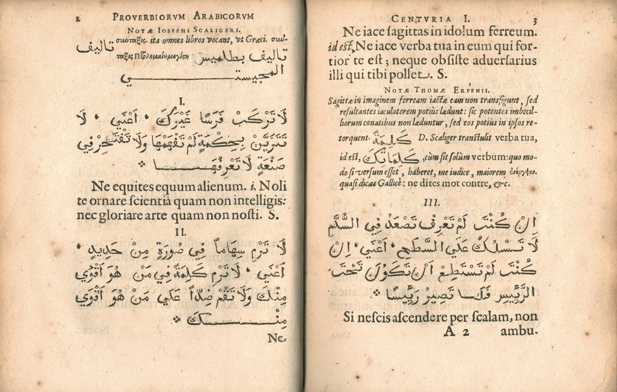 Except he did. Scaliger wrote an Arabic dictionary, Thesaurus lingual Arabicae, which was never printed, as well as Latin translations of Arabic proverbs (published five years after his death) 9/