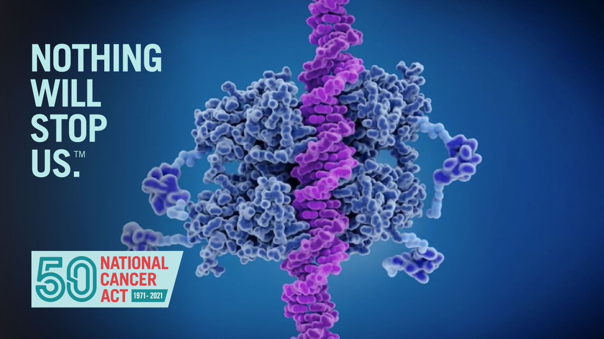 From the National Cancer Act of 1971 a nationally coordinated approach to research was born. It wasted no time in advancing #ClinicalTrials that led to revolutionary #CancerTreatments. #NothingWillStopUs