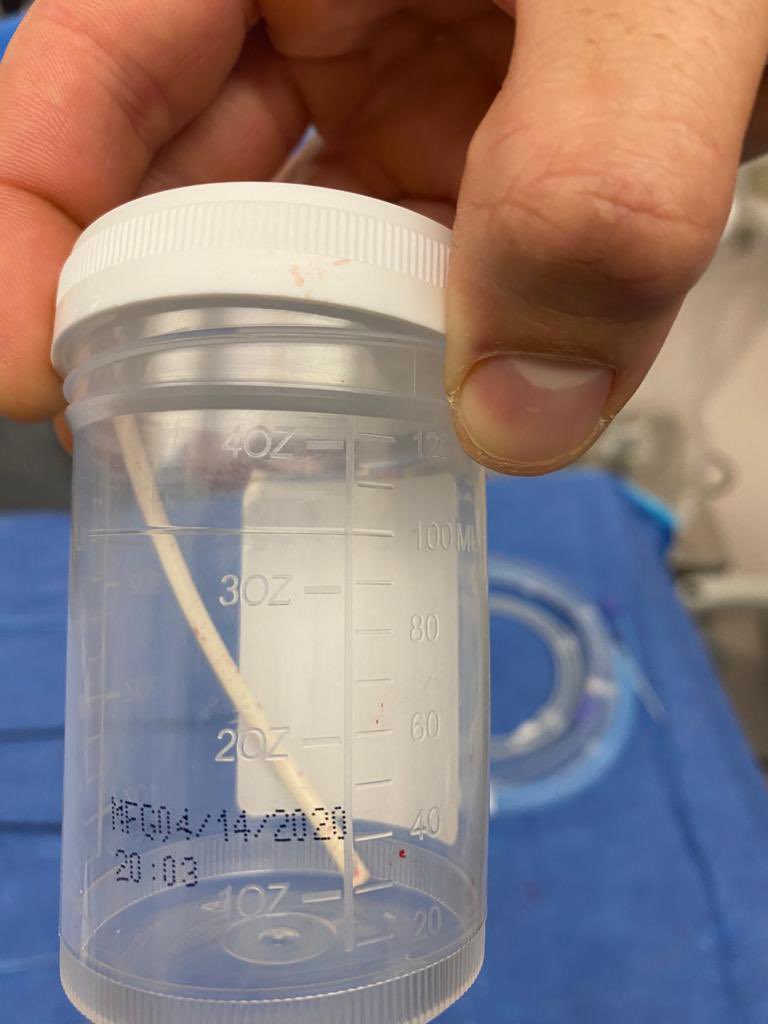 Daniel Rubin, DO tweet media