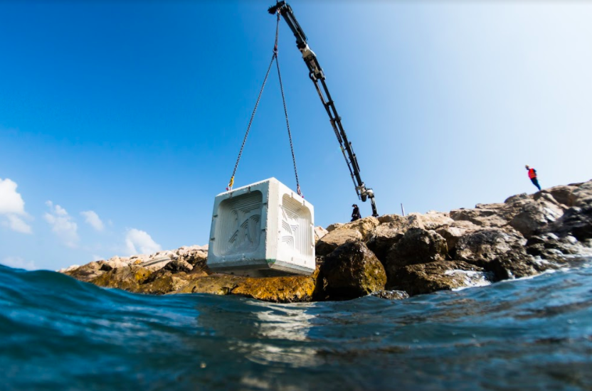 RCA Foundation (@rayslegacy) on Twitter photo The <a href="/portofsandiego/">Port of San Diego</a> and <a href="/EconcreteL/">ECOncrete</a>, have launched a three-year pilot project on Harbor Island with COASTALOCK Tide Pool Armor. ECOncrete won the $100,000 #RayofHopePrize in 2020 presented by the Foundation and <a href="/BiomimicryInst/">Biomimicry Institute</a> en.portnews.ru/news/308424/ The <a href="/portofsandiego/">Port of San Diego</a> and <a href="/EconcreteL/">ECOncrete</a>, have launched a three-year pilot project on Harbor Island with COASTALOCK Tide Pool Armor. ECOncrete won the $100,000 #RayofHopePrize in 2020 presented by the Foundation and <a href="/BiomimicryInst/">Biomimicry Institute</a> en.portnews.ru/news/308424/