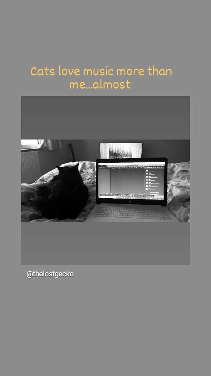 TheLostGecko tweet media