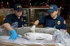 On 2/1/21, FDA launched phase II of the Artificial Intelligence (#AI) Imported Seafood Pilot program to help the agency more quickly/efficiently identify potential #PublicHealth threats in seafood products. LEARN MORE: go.usa.gov/xASwr #SmarterFoodSafety