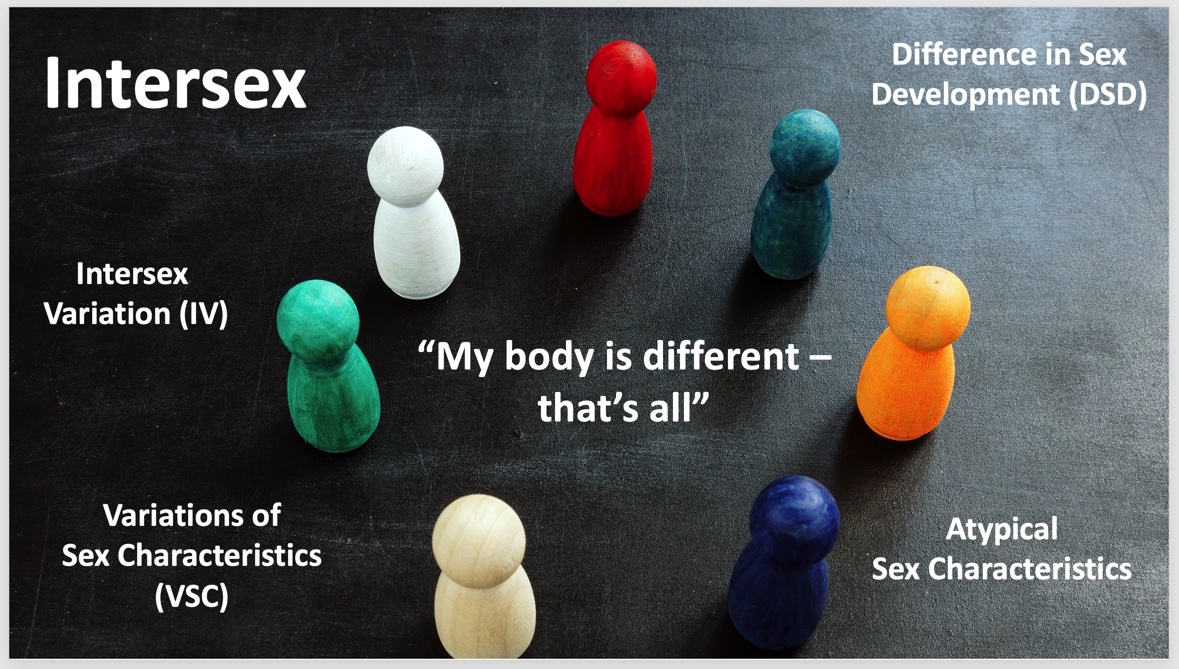 Intersex Mapping Study Ireland tweet media