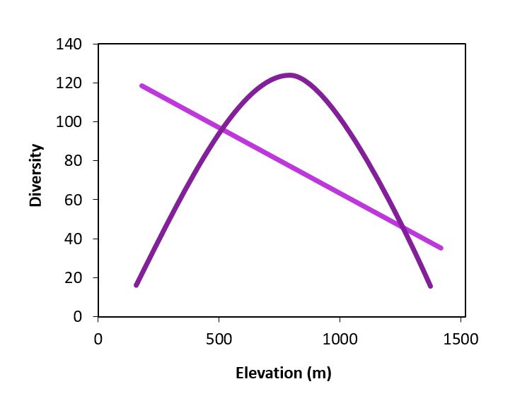 What did we find? Well, typically studies of diversity across elevation have a few common patterns patterns: increase in diversity with elev, and a mid-elevation peak. There is a plethora of different reasons for this, check out McCain & Grytness 2010 for more info.
