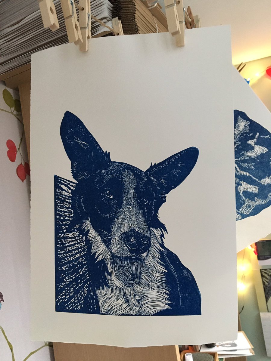 bluewoodmouse's tweet photo. On my drying line today a commission of a collie called Kevin. #linocut https://t.co/Enrx0XIffF