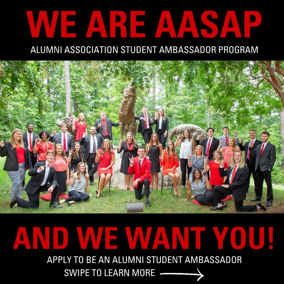 NCStateAASAP's tweet image. Do you love NC State traditions like Packapalooza? Do you love Red &amp;amp; White week? Do you love being involved on campus? 

If you answered yes to any of these questions, you would love being a part of the Alumni Association Student Ambassador Program! Apply for AASAP today!