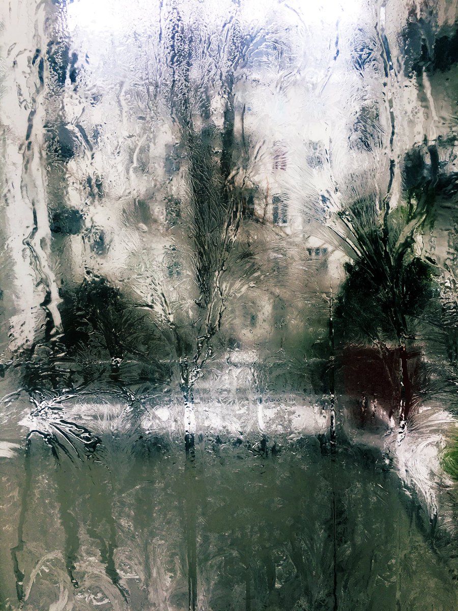 Julia Bayer tweet media