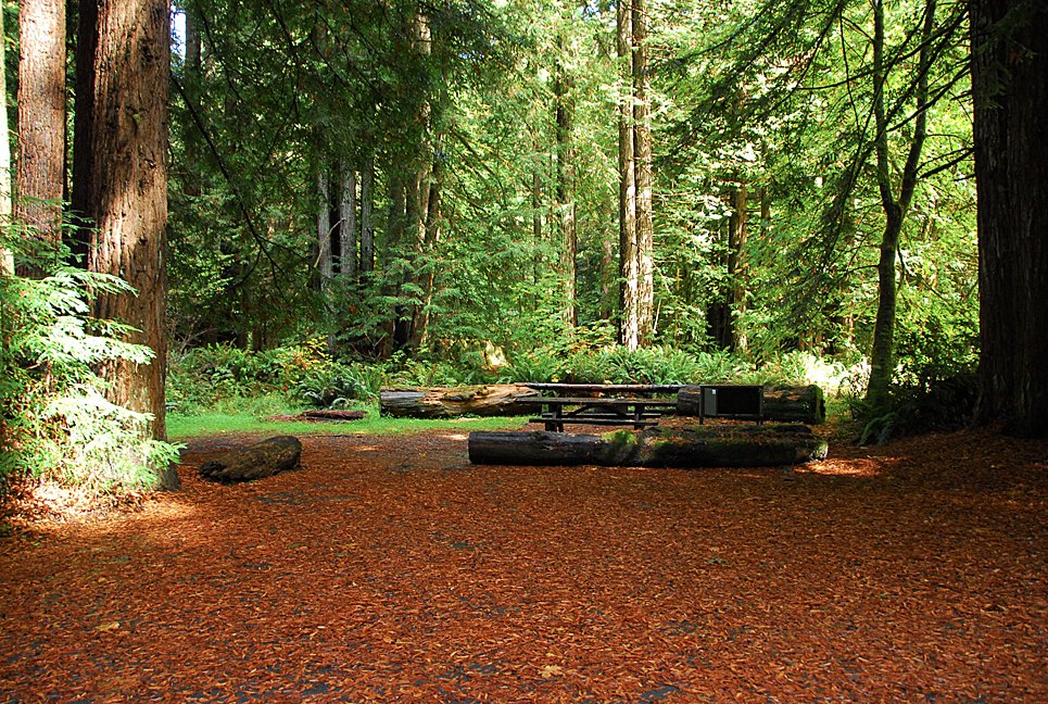 Del Norte Coast Redwoods State Park Campground