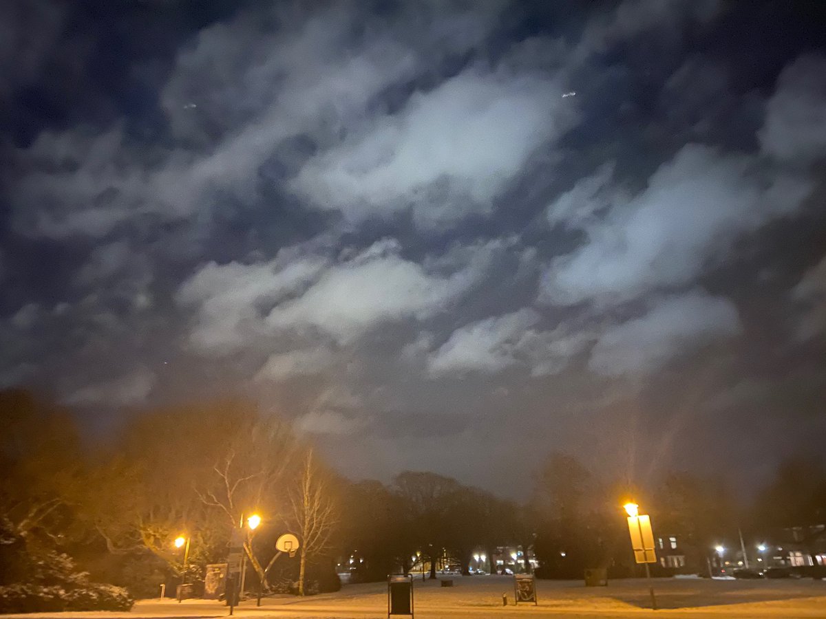 InaElzinga's tweet image. 