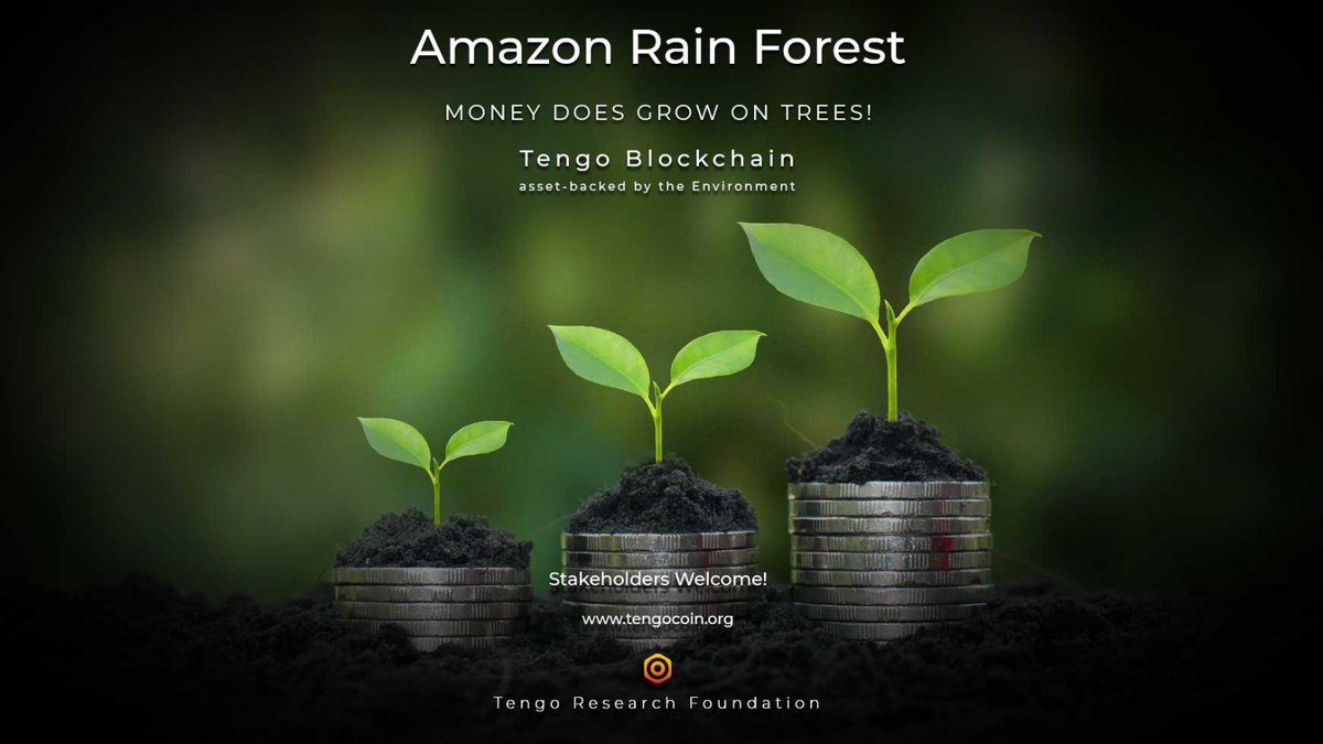 ResearchTengo's tweet image. The TENGO platform provides an aggregation model for monetizing Amazon Rainforest and other environmental assets. The assets bring inherent value to the TENGO Cryptocurrency and preserve the Rainforest and prevent the environment from further deforestation.