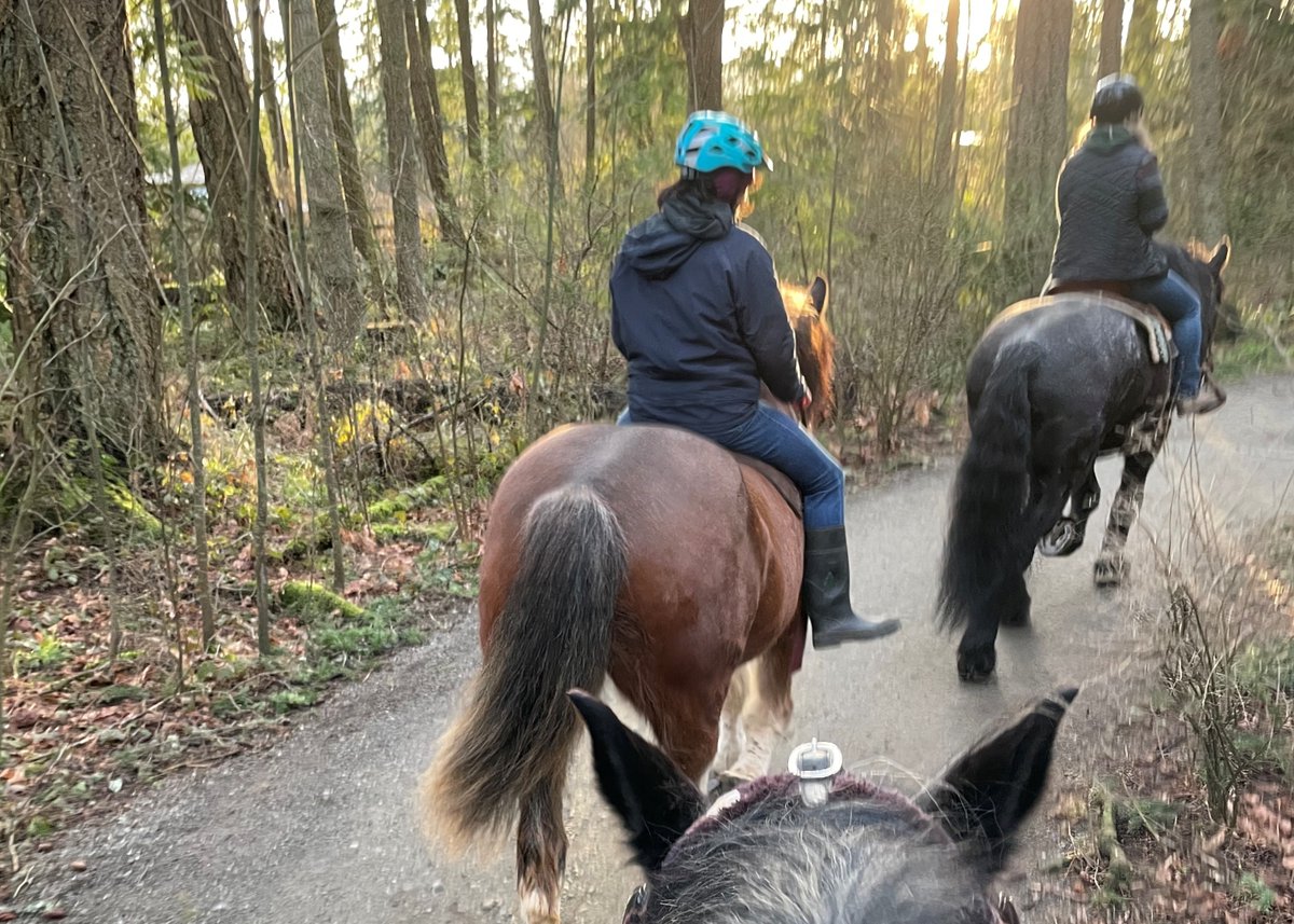 TallyHoVictoria's tweet photo. Tally-Ho Happenings!  Feb 2021 - https://t.co/CNr9Yg3toc https://t.co/DBNto1khCS
