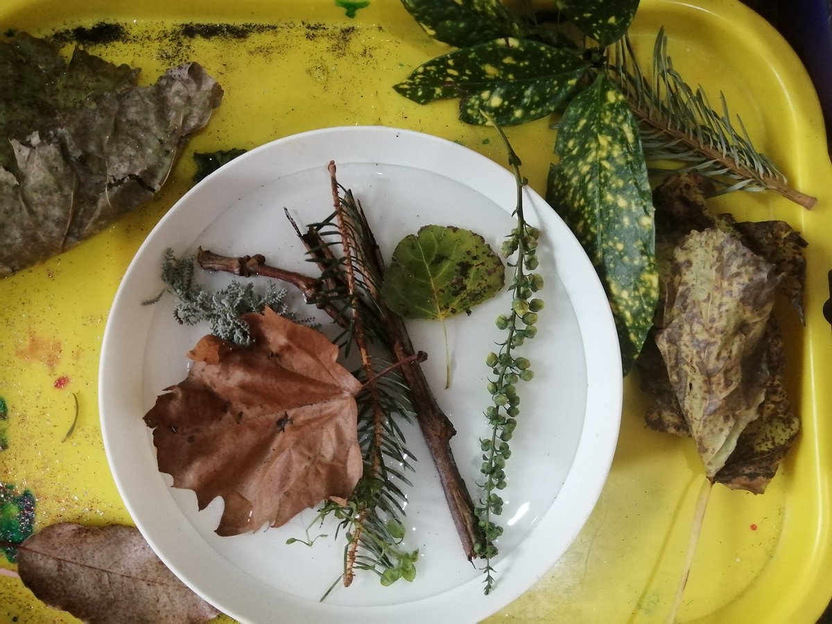 Rebecca Lowin tweet media