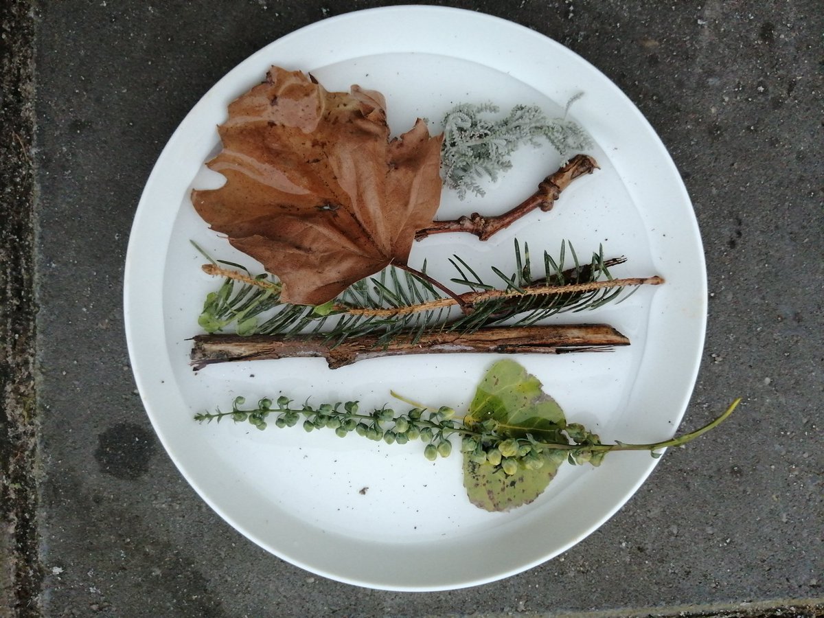 Calling all reception children <a href="/ShacklewellE8/">Shacklewell Primary</a> a great activity to do on a cold icy day. Place some leaves sticks and flowers onto a plate of water. Leave outside over night to create a piece of 'Ice nature art'. ❄️❄️🌿🍁🌱🌷🌺