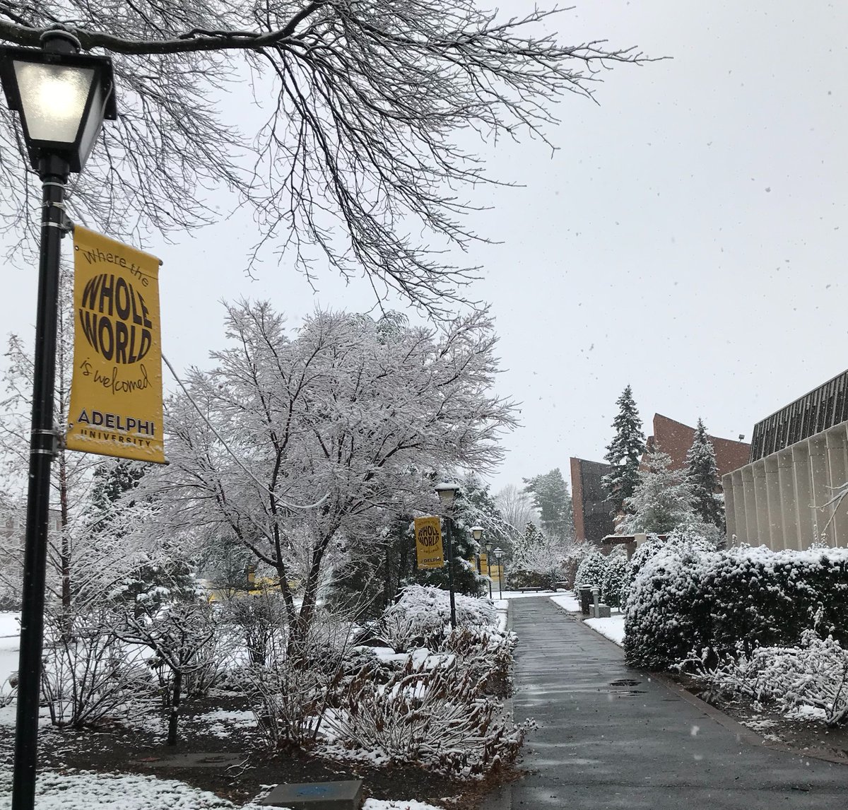 AdelphiU's tweet image. Our campus looks magical with snow! Hope you are staying warm! #WinterAtAdelphi ☃️