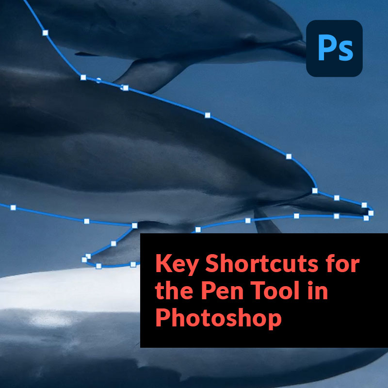 phlearn's tweet image. This week we focus on one of Aaron&apos;s favorite tools. Tap link below to learn the best Key Shortcuts for the Pen Tool in Photoshop!

phlearn.com/tutorial/pen-t…

#PHLEARN #Photoshop #pentool