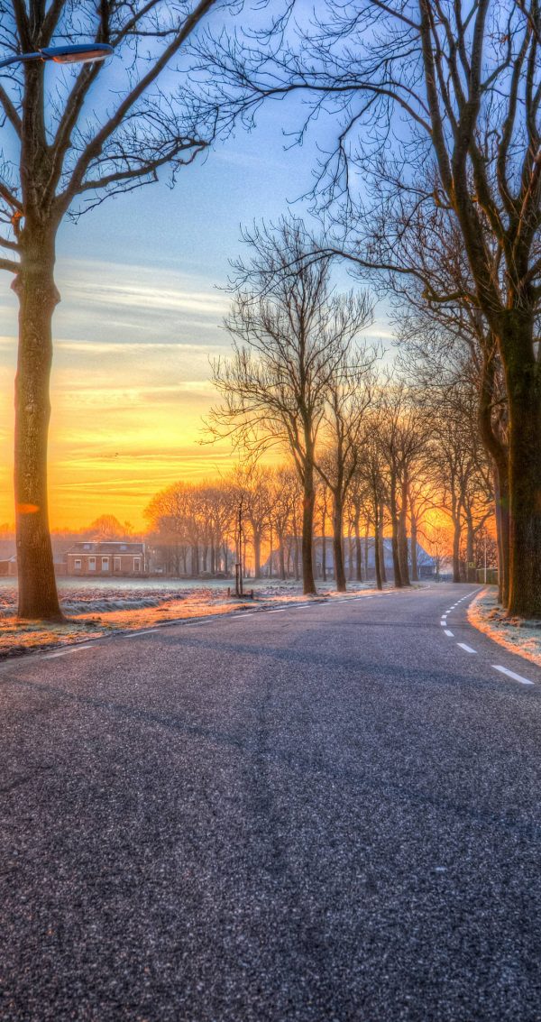 akamarn388's tweet image. Is it okay if we open new trails to go out for another walk ...? I invite you again .....