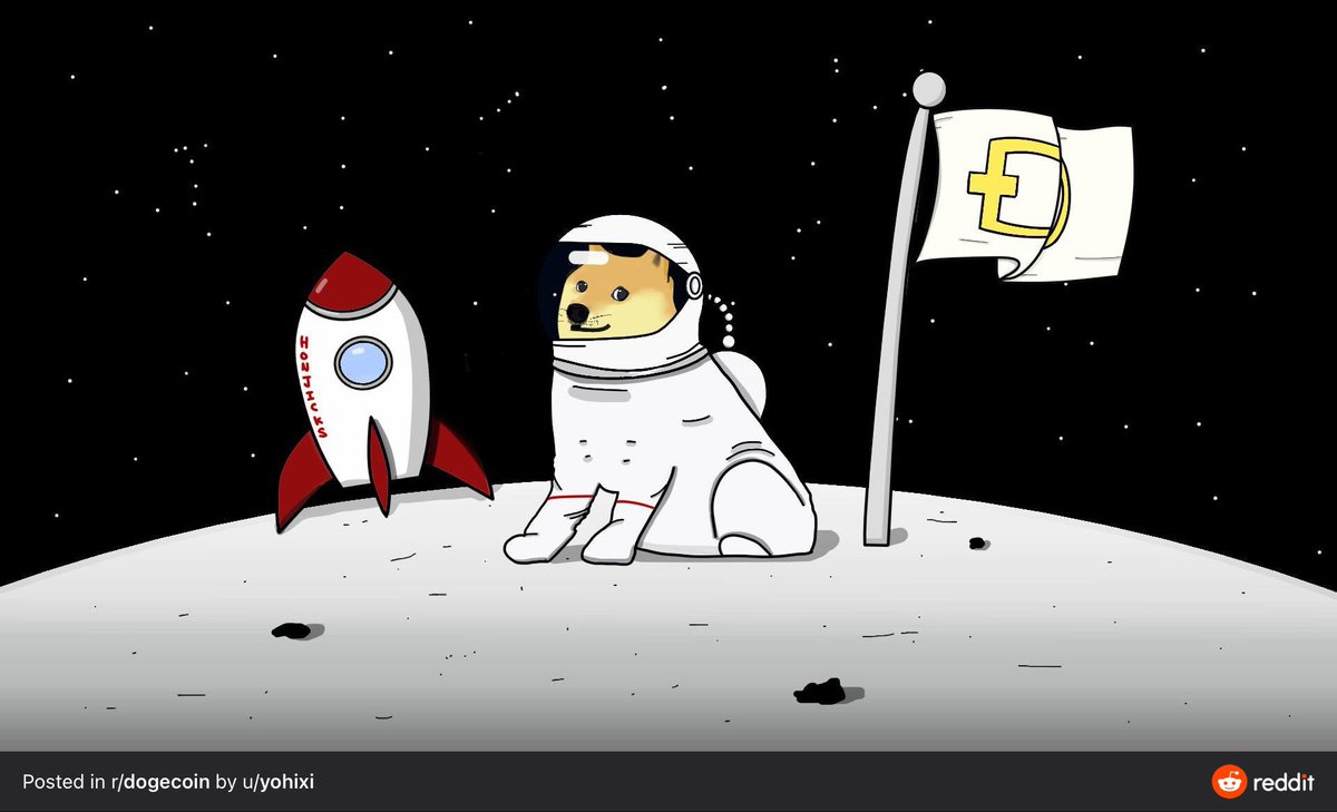 #DogecoinRise 🌎🚀🌕
