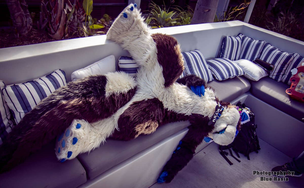 Bluehasia's tweet photo. Have a photo while i was on the prowl at Golden State Furcon #GSFC2019
View full gallery here
https://t.co/OniD70EReE
3
If you got a photo by me and like it consider getting me some kofi
https://t.co/xRZD3kjp6w https://t.co/BI2H8aCsr5