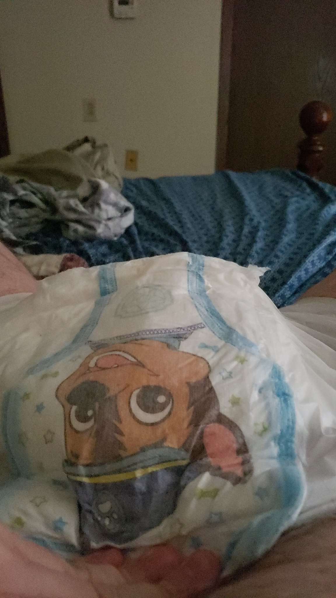 Littlepiggy on X: My new paw patrol diapers my be made useing a