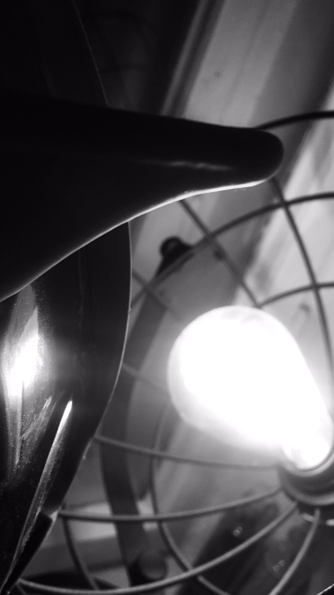 Julia Bayer tweet media