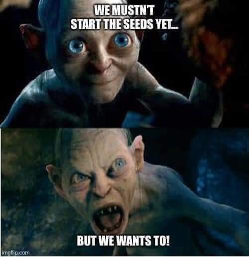 LOTR: Gollum - Stinky choices's : r/lotrmemes