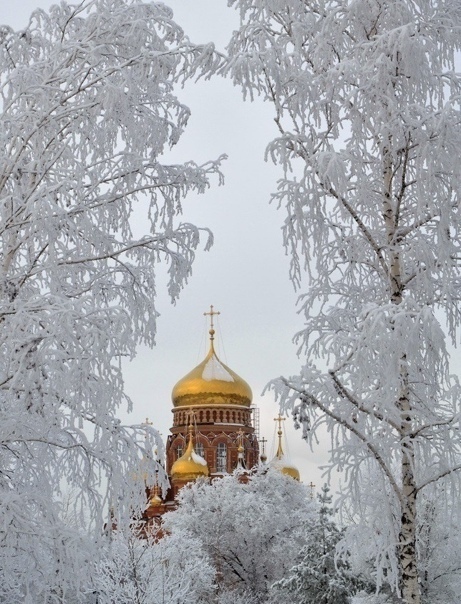 Я, как священник, хочу призвать всех: позвольте себе святую роскошь — живите в реальном мире, даже если и пользуетесь иногда Интернетом! Протоиерей Владимир Ровинский