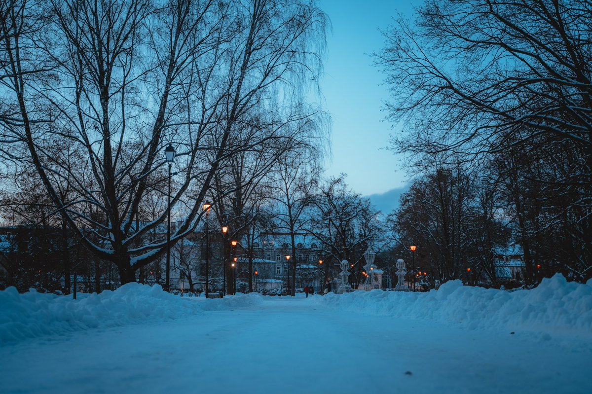 RisuProductions's tweet photo. Final winter photos that I took!🧙‍♂️
冬の最後の写真。

📸 Sony a7III + Tamron 28-75mm f2.8.

#streetphotography #nature #naturephotography #lithuania #winter #winterphotography #wintertime #risuadventures 
#urbanphotography #写真好きな人と繋がりたい #写真撮ってる人と繋がりたい https://t.co/Ag4MgPJQG6