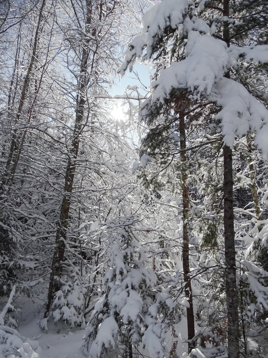 Some shots I took this weekend at my girlfriend's cabin ? 