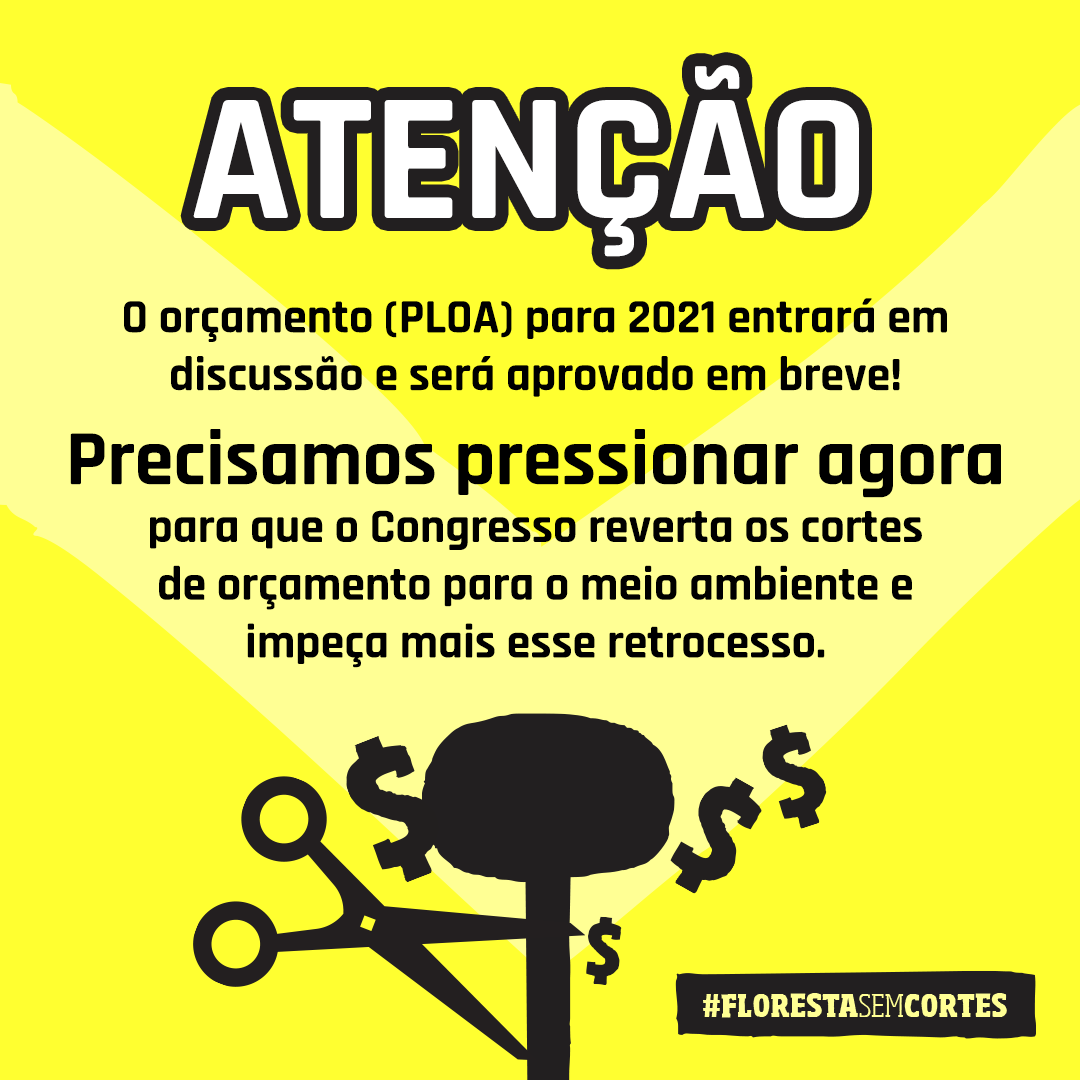 IPAM_Amazonia's tweet photo. Começou o tuitaço da campanha #FlorestaSemCortes! Junte-se a nós para pedir ao @SenadoFederal e à @Camaradeputados um orçamento que contemple a proteção do meio ambiente. Acesse: https://t.co/wd8nz0BQcj https://t.co/Hdc1bjM3NC