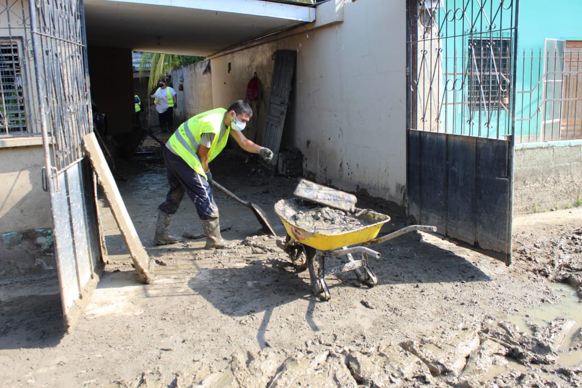 MuniSPS0501's tweet photo. #ElTrabajoLoVenceTodo ⬇️

Hoy #Lunes #8Febrero nuestros colaboradores municipales continúan apoyando a los vecinos del distrito #RiveraHernández en la limpieza de casas y vías. 

Son #62Días de trabajo y #Solidaridad.👏

Juntos seguimos trabajando por la #ReactivaciónSPS. 💪 https://t.co/8vVRJzSWri