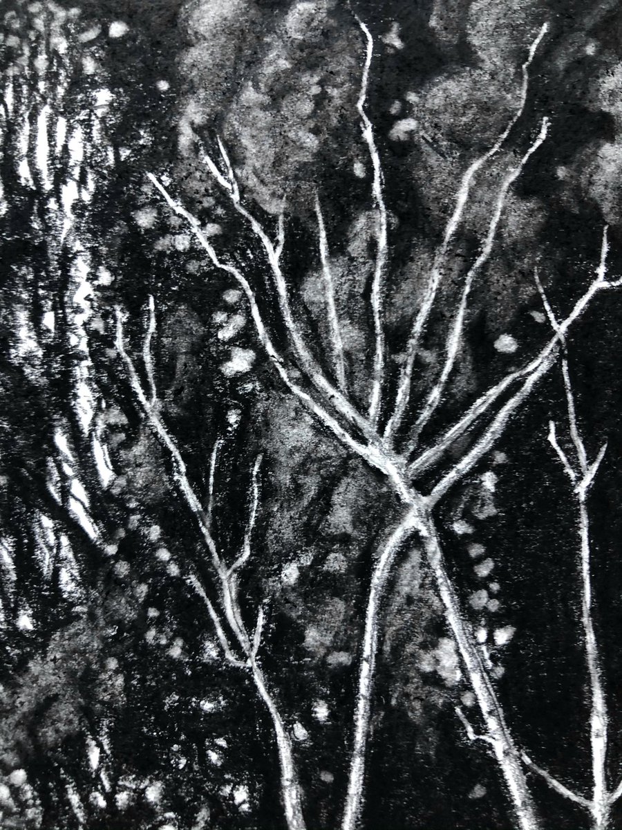 AliceHole's tweet photo. Lots of textures from my latest WIP ✍️
#drawing #graphitedrawing #graphite #pencildrawing #sgfa #societyofgraphicfineart #drawingdetails #artdetails #details #textures https://t.co/SZuIkUgh53