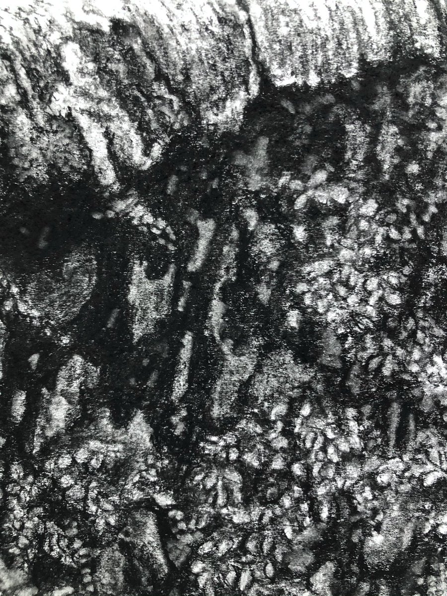 AliceHole's tweet photo. Lots of textures from my latest WIP ✍️
#drawing #graphitedrawing #graphite #pencildrawing #sgfa #societyofgraphicfineart #drawingdetails #artdetails #details #textures https://t.co/SZuIkUgh53