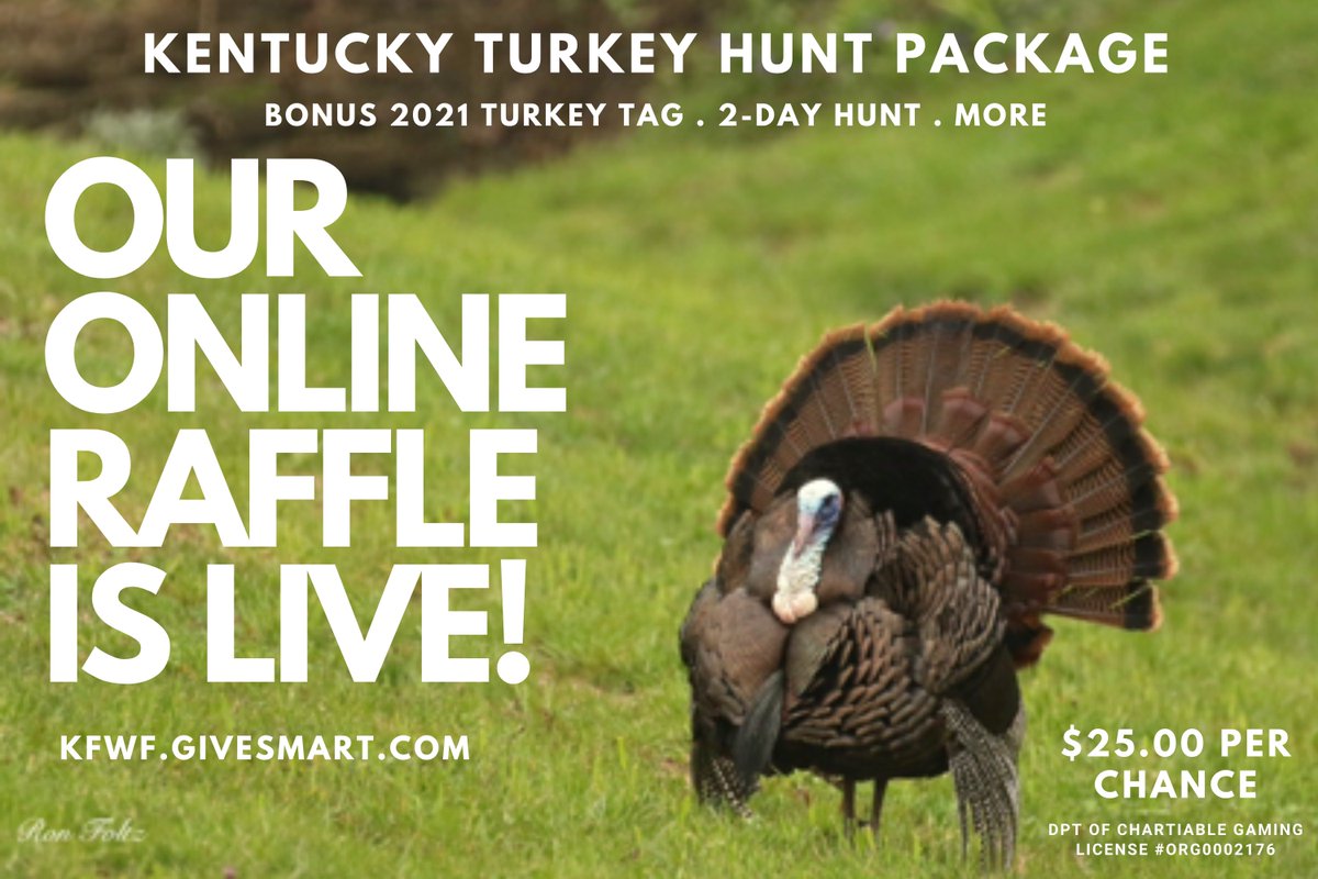 KFWFoundation's tweet photo. OUR ONLINE RAFFLE IS LIVE!

Win a BONUS 2021 Turkey Tag, a 2-day turkey hunt at Shaker Village, a Versa Max 12-gauge shotgun, &amp; more!

For more details &amp; to enter, visit https://t.co/y91rsEs5pX or text KFWF to 76278

Kentucky Department of Charitable Gaming License ORG0002176 https://t.co/x2pZcYAYCl